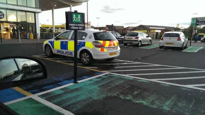 Прикольные картинки (97 фото)