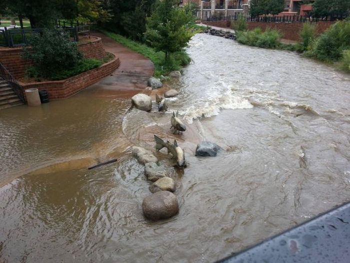 Прикольные картинки (97 фото)