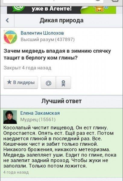 Прикольные картинки (97 фото)