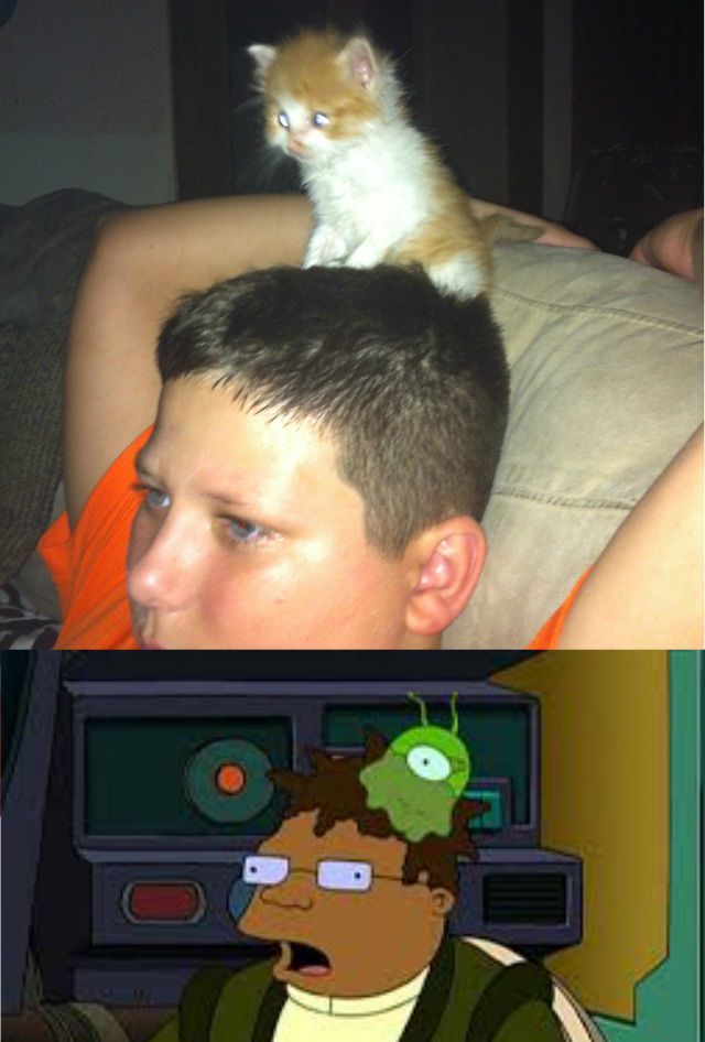 Прикольные картинки (97 фото)