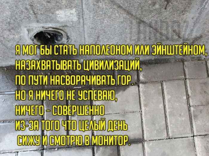 Прикольные картинки (166 фото)