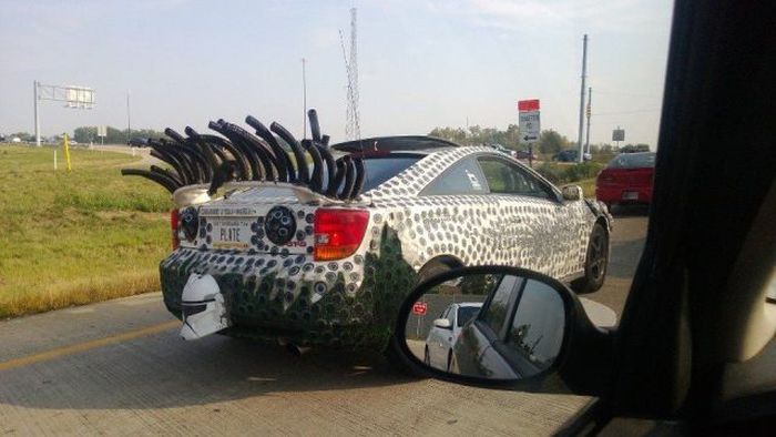 Прикольные картинки (166 фото)