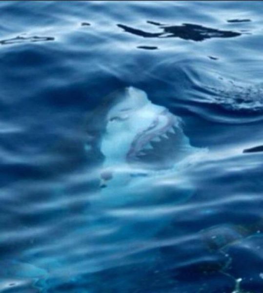 Прикольные картинки (166 фото)