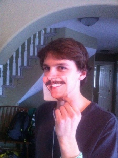 Прикольные картинки (120 фото)