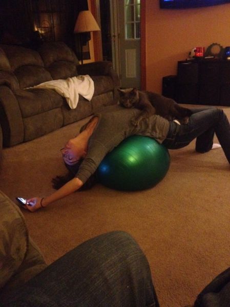 Прикольные картинки (120 фото)