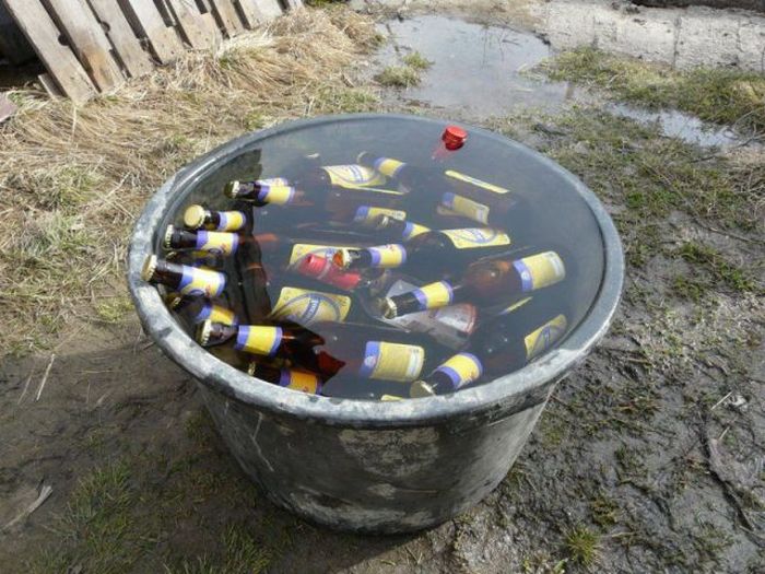 Прикольные картинки (120 фото)