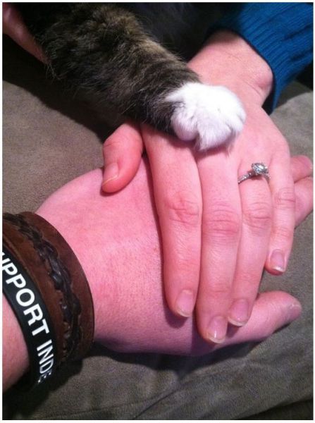 Прикольные картинки (120 фото)