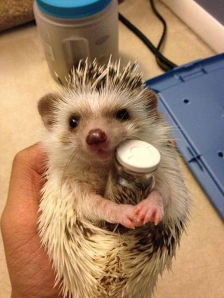 Прикольные картинки (120 фото)