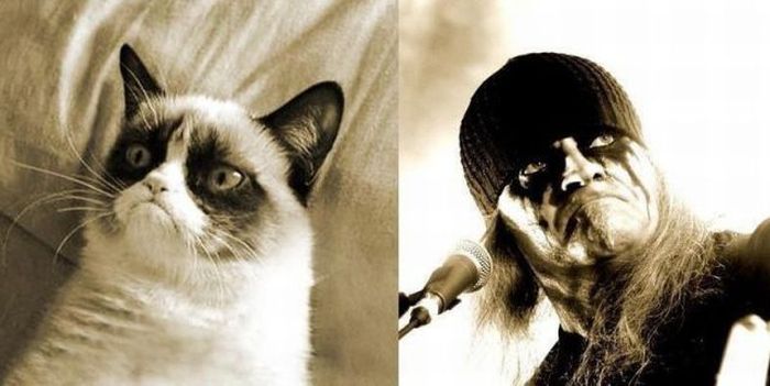 Прикольные картинки (103 фото)