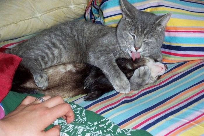 Прикольные картинки (103 фото)