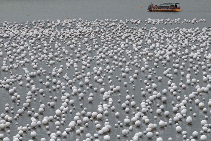 Прикольные картинки (103 фото)