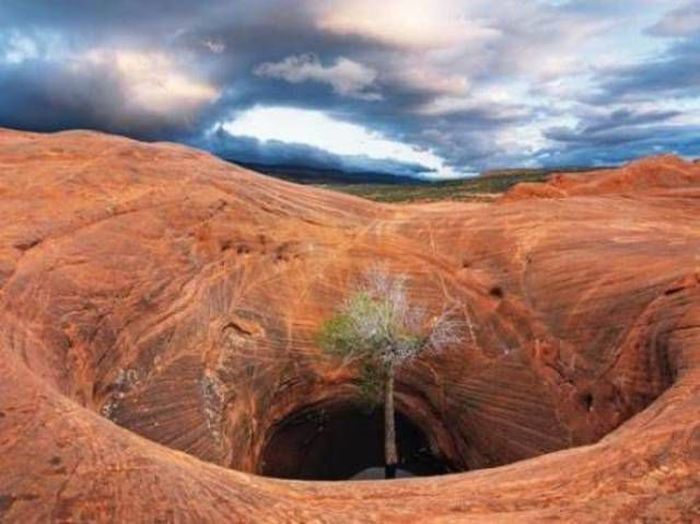 Прикольные картинки (103 фото)