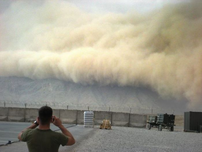 Прикольные картинки (103 фото)