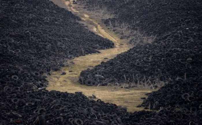 Прикольные картинки (103 фото)