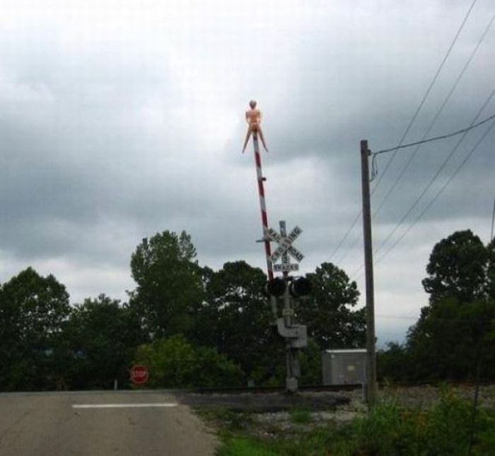 Прикольные картинки (103 фото)