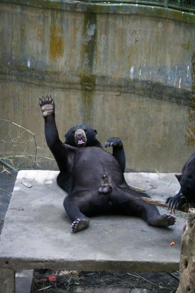 Прикольные картинки (103 фото)