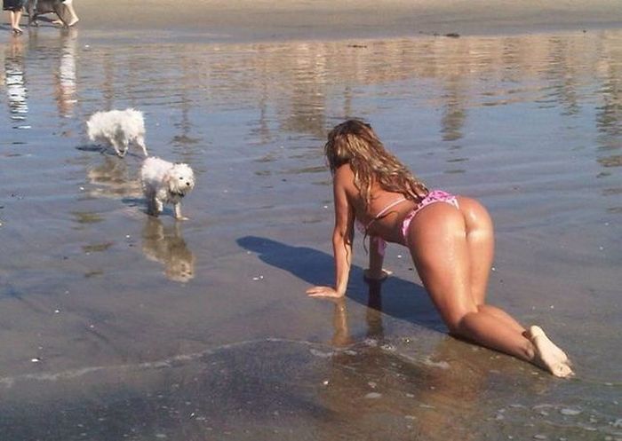 Прикольные картинки (103 фото)