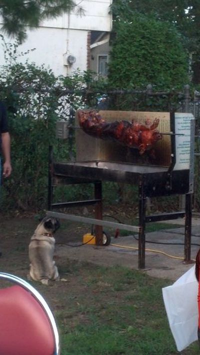 Прикольные картинки (84 фото)