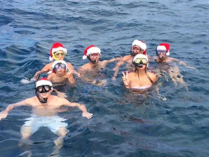 Прикольные картинки (84 фото)