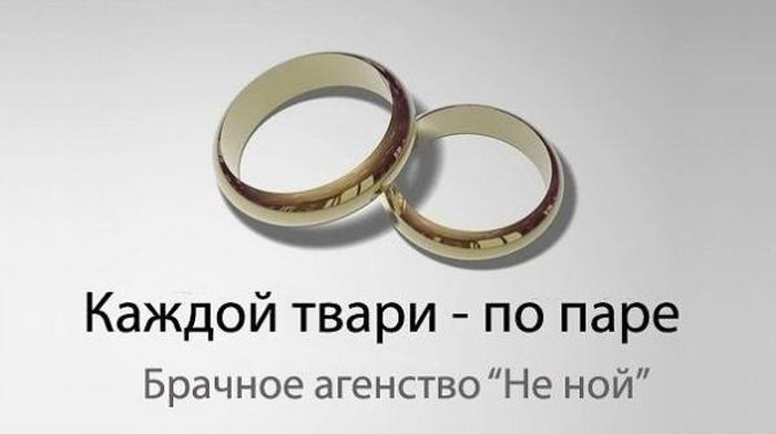 Прикольные картинки (84 фото)