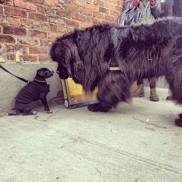 Прикольные картинки (84 фото)