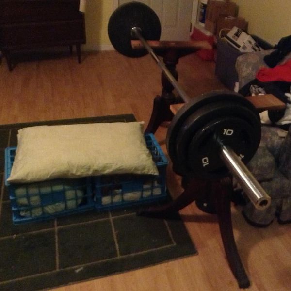 Прикольные картинки (84 фото)