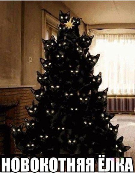 Прикольные картинки (84 фото)