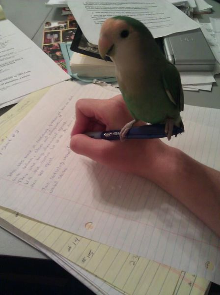 Прикольные картинки (154 фото)