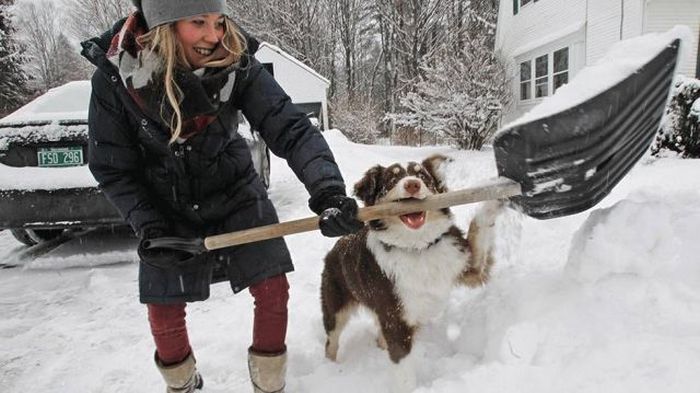 Прикольные картинки (154 фото)