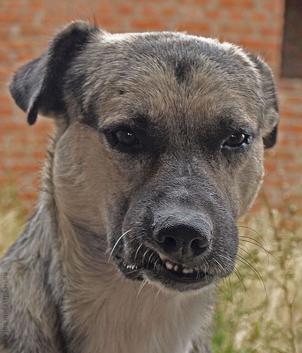 Прикольные картинки (154 фото)