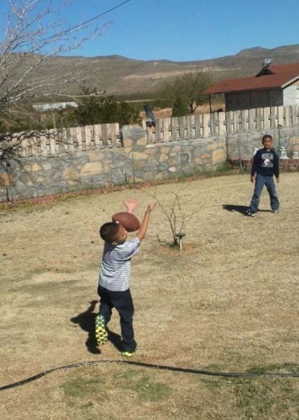 Прикольные картинки (94 фото)