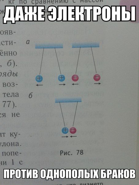 Прикольные картинки (94 фото)