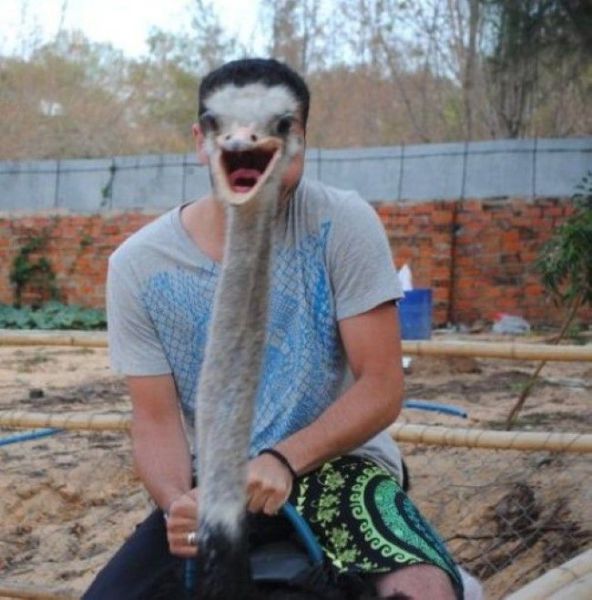 Прикольные картинки (94 фото)