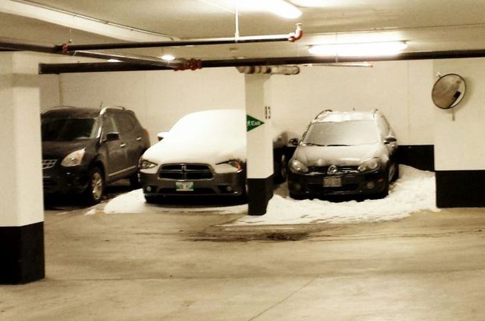 Прикольные картинки (94 фото)