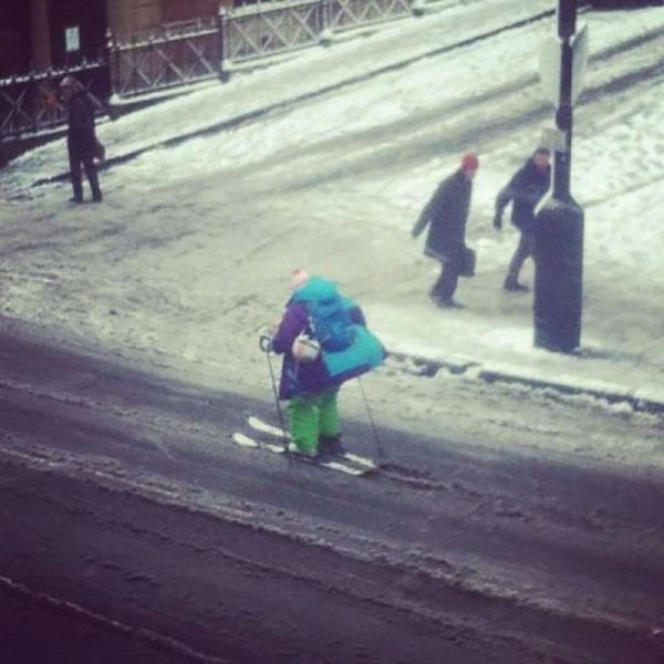 Прикольные картинки (92 фото)