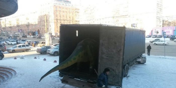 Прикольные картинки (92 фото)