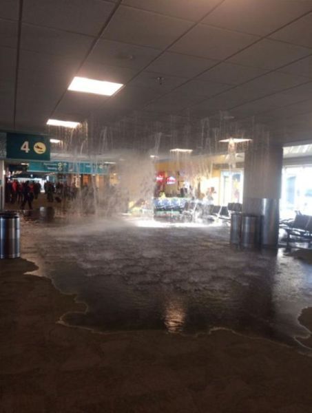 Прикольные картинки (120 фото)