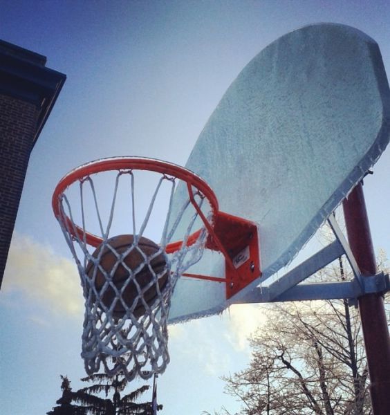 Прикольные картинки (120 фото)