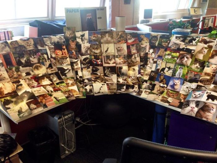 Прикольные картинки (120 фото)