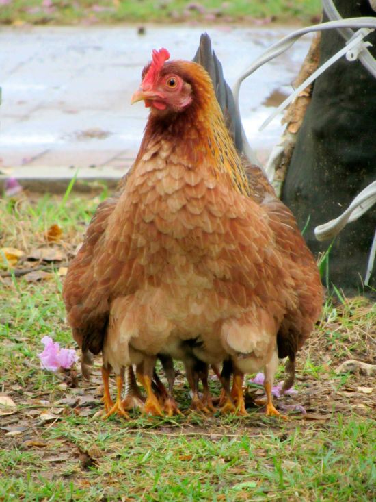 Прикольные картинки (120 фото)