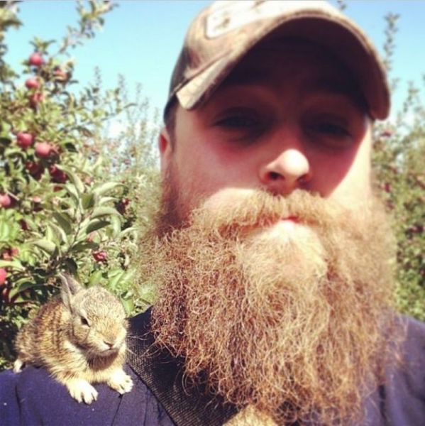 Прикольные картинки (120 фото)