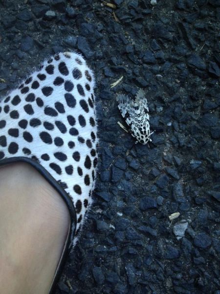 Прикольные картинки (120 фото)