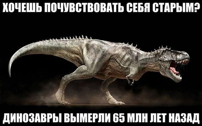 Прикольные картинки (120 фото)