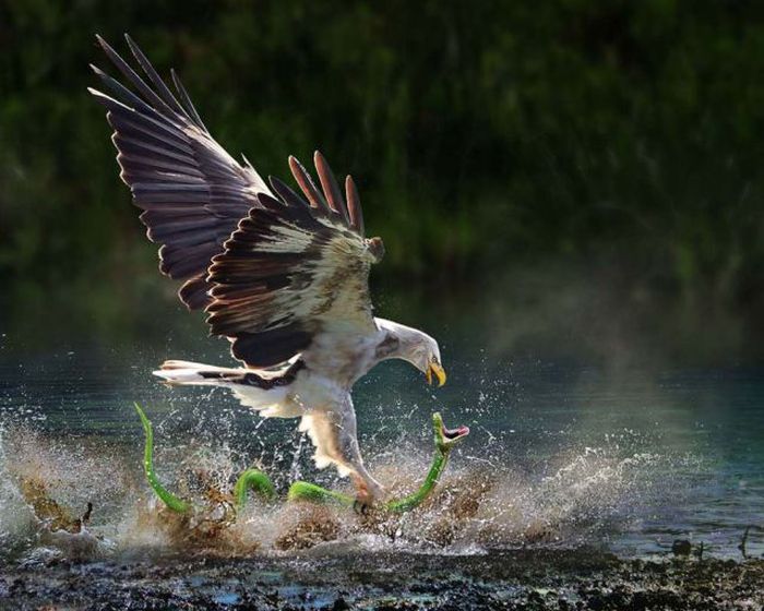 Прикольные картинки (120 фото)