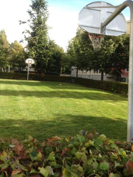 Прикольные картинки (94 фото)