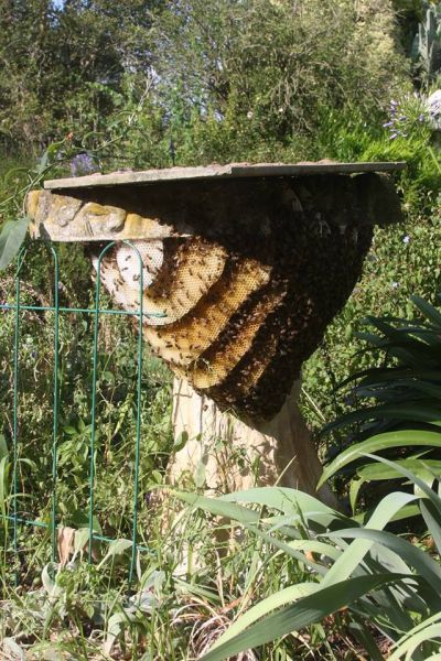 Прикольные картинки (94 фото)