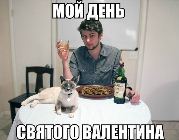 Прикольные картинки (94 фото)