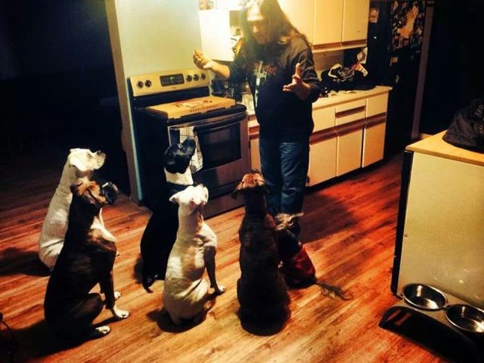 Прикольные картинки (94 фото)