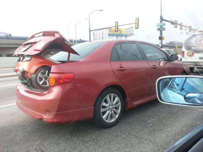 Прикольные картинки (94 фото)