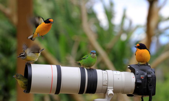 Прикольные картинки (125 фото)